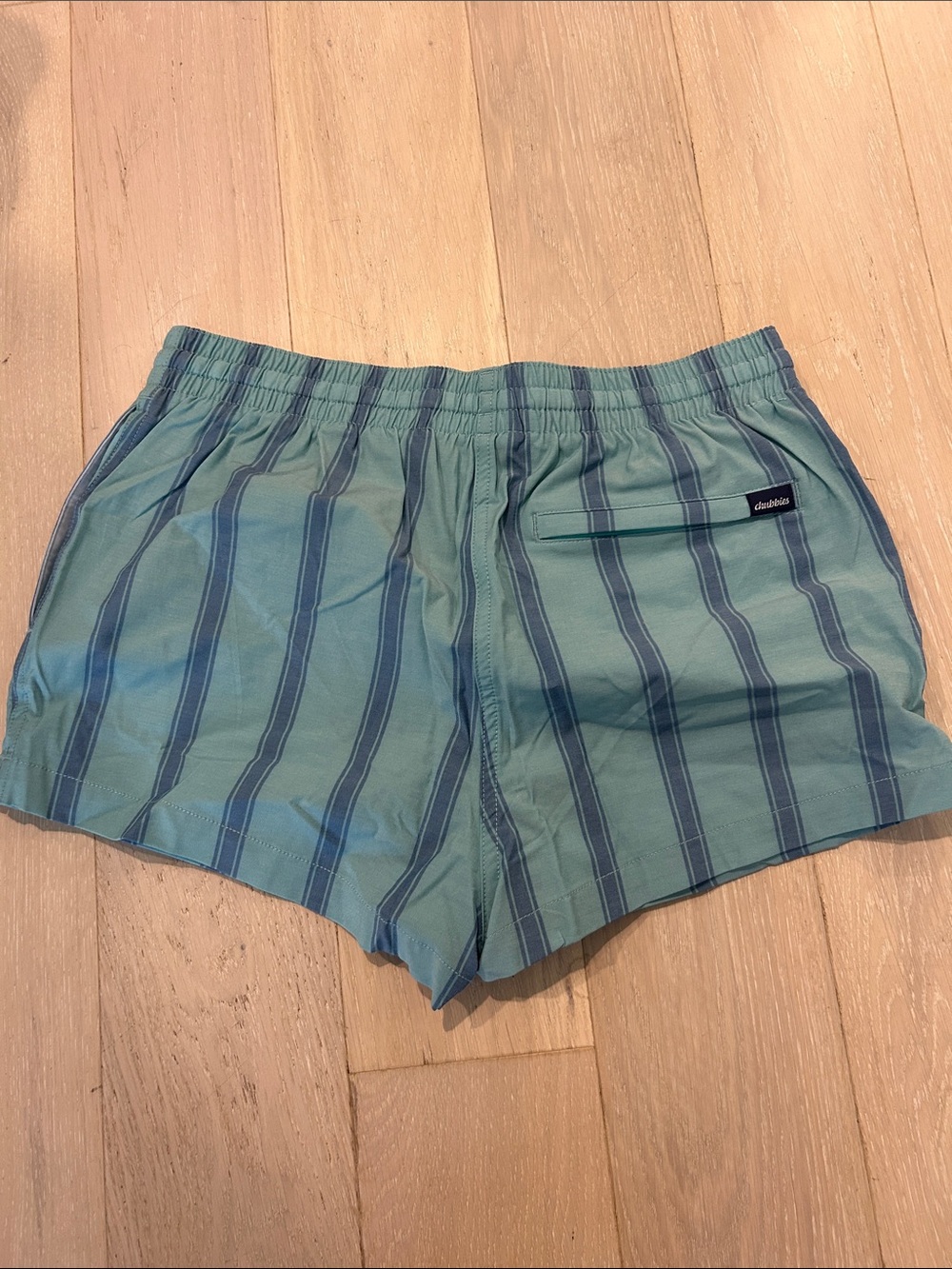 Chubbies Teal Swim Shorts with Navy Stripes - Picture 3 of 5